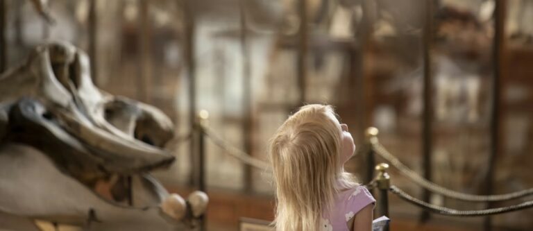 child looking up at a dinosaur skeleton in a natural history museum in Paris